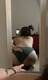 Foto privada de Giorgia_18