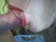 Foto privada de curvy_estasi