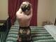 Foto privada de ladysexy78