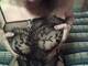 Foto privada de ladysexy78