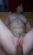 Foto privada de pinkpiggy