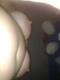 Foto privada de moonskin