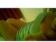 Foto privada de Dealiciousme