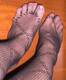 piedi