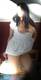 Foto privada de rosselladolcesexy