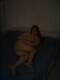 Foto privada de sekna80