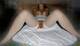 Foto privada de Sextastic