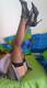 Foto privada de sweetlove72