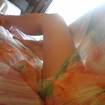Public photo of JESSI_PICANTE