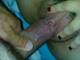 Foto privada de xsexangelx