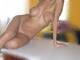 Foto privada de sexymediterranea