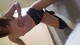 Foto privada de lolliloop69