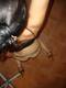 Foto privada de LolitaSexy100