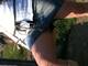 Foto privada de lunasexy67