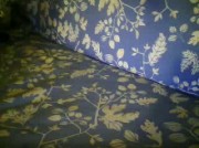 Video amateur de __CagnaTettona