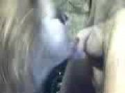 Video amateur de LaSophia